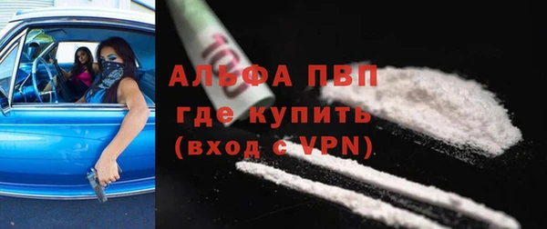 гидра Магас
