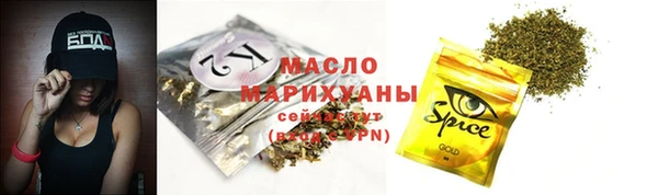 гидра Магас