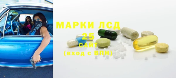 гидра Магас