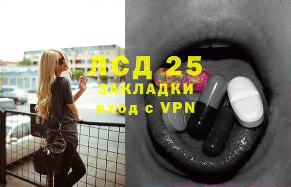 гидра Магас