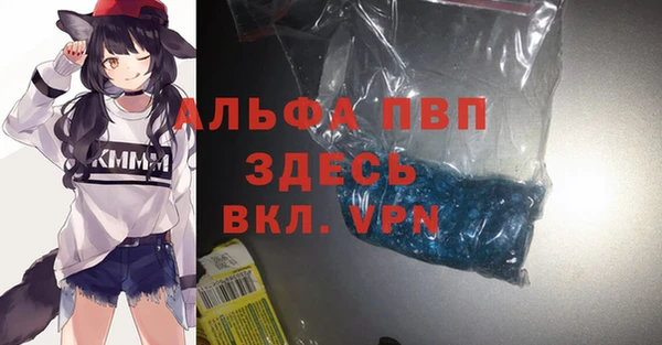 спиды Заполярный