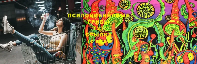 Псилоцибиновые грибы Psilocybine cubensis  Далматово 