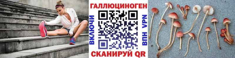 Галлюциногенные грибы ЛСД  наркота  Далматово 